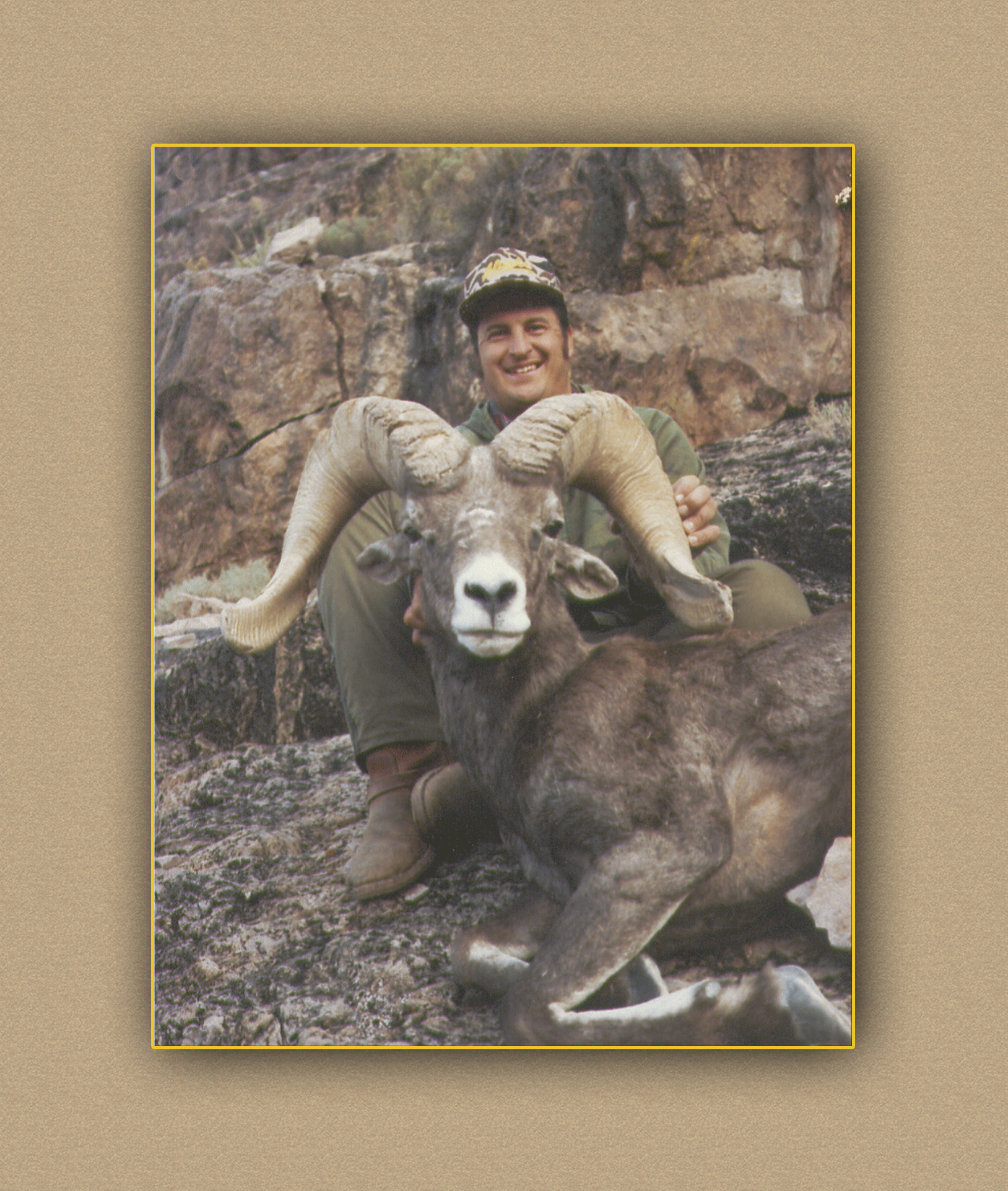 yellowhorn outfitters arizona hunting yellowhorn arizona bighorn sheep guiding outfitting deer elk antelope photography