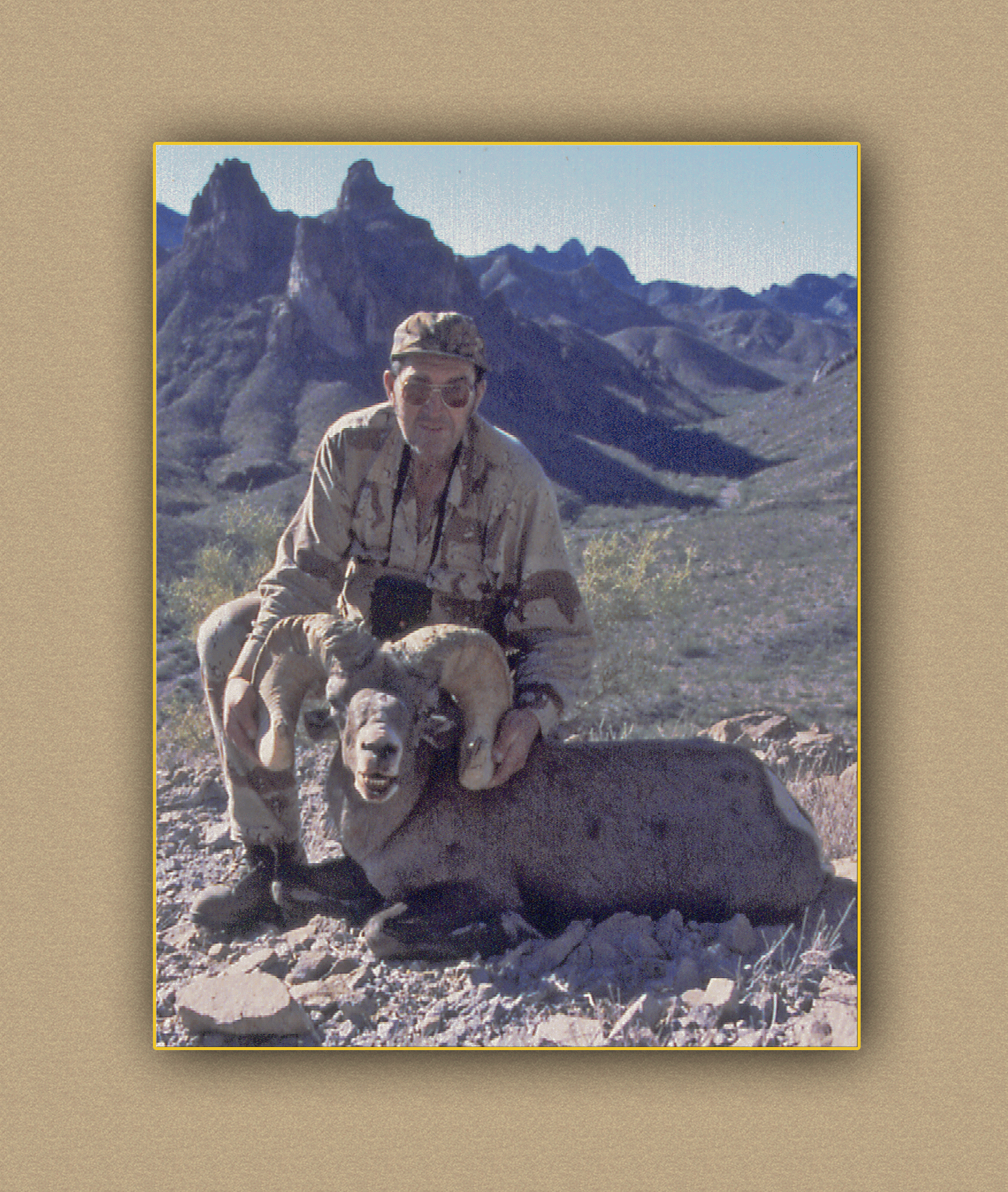 yellowhorn outfitters arizonahunting yellowhorn outfitters bighorn sheep outfitting guiding deer elk antelope photography