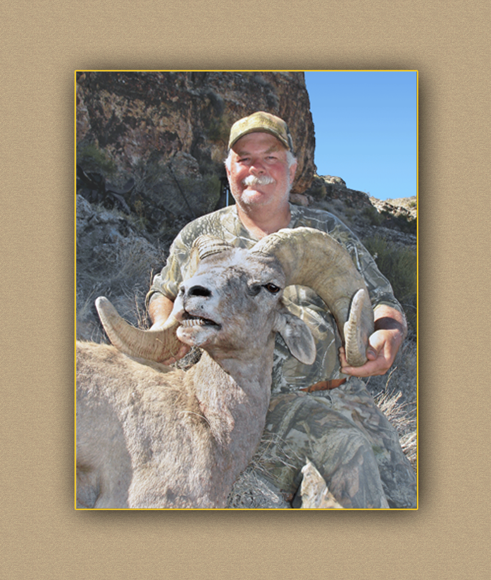 yellowhorn outfitters arizona hunting yellowhorn outfitters arizona bighorn sheep guiding outfitting deer elk antelope photography