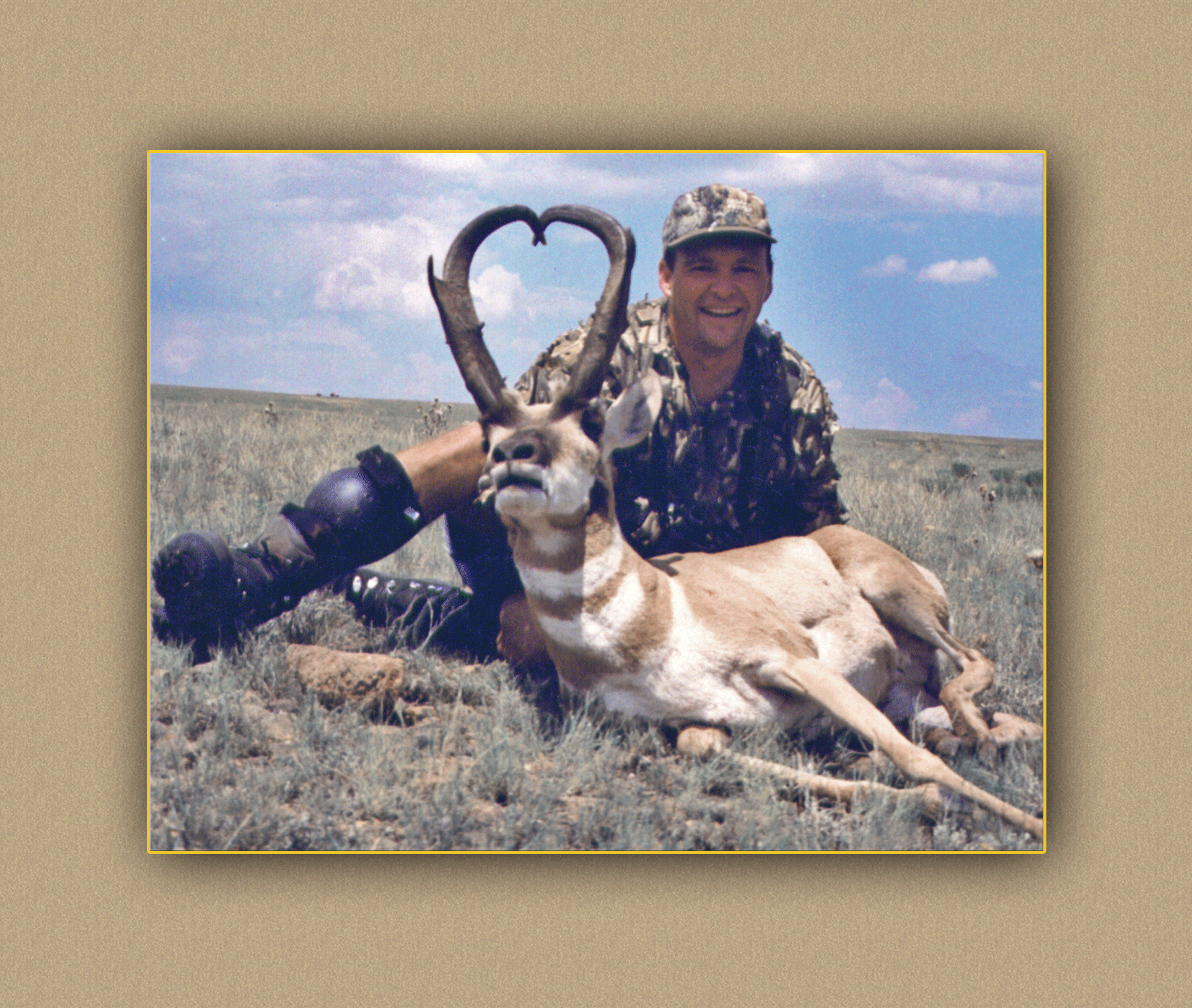 yellowhorn outfitters arizona hunting yellowhorn outfitters arizona bighorn sheep guiding outfitting deer elk antelope photography