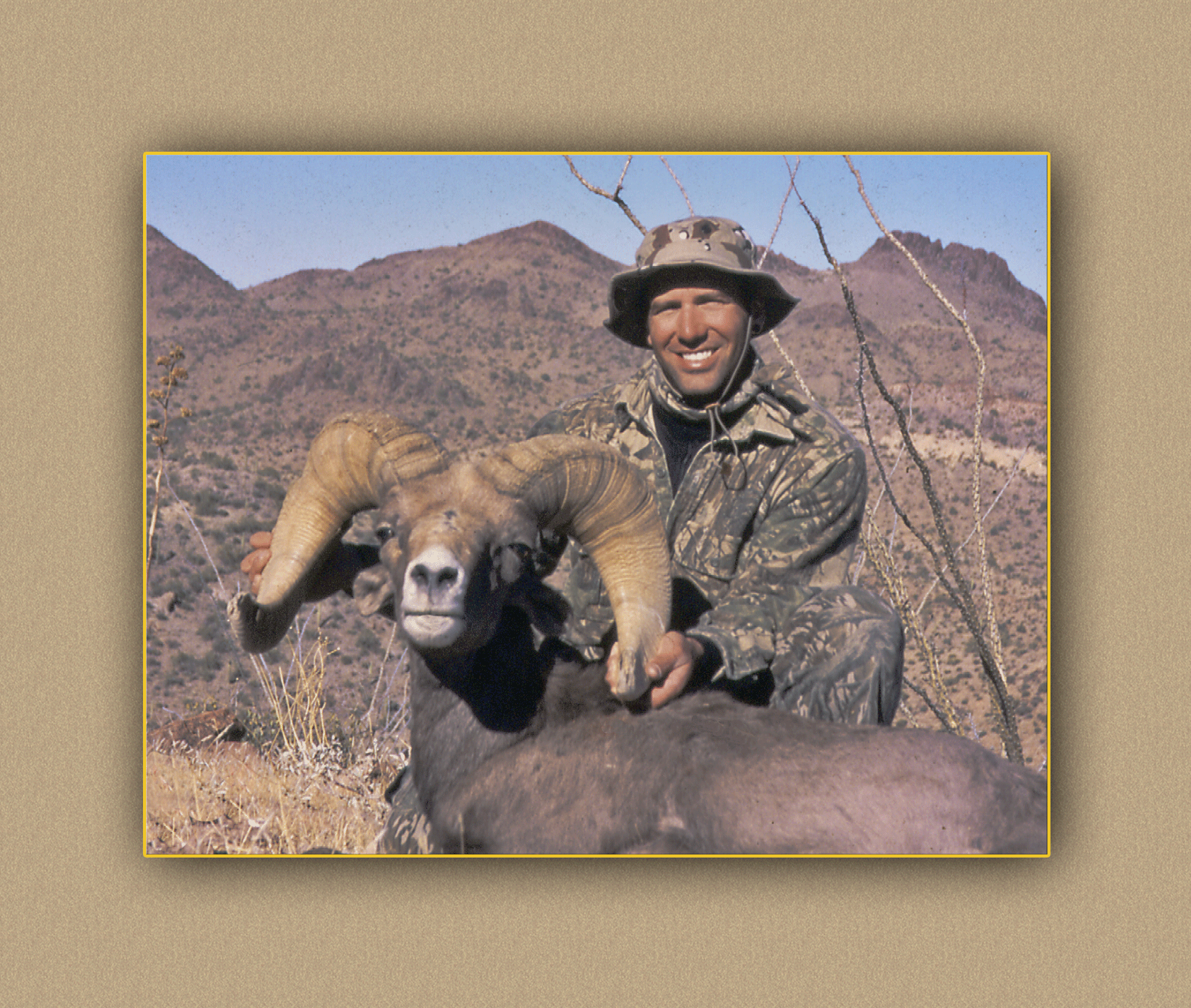 hunting yellowhorn bighorn sheep guiding outfitting deer elk antelope photography
