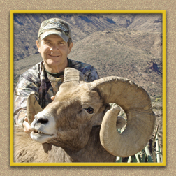 bighorn sheep yellowhorn outfitters