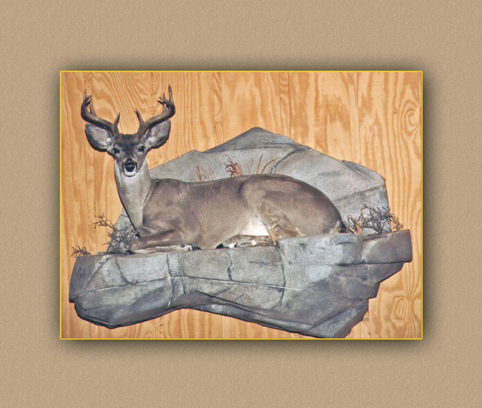 henry's artistic wildlife deer2