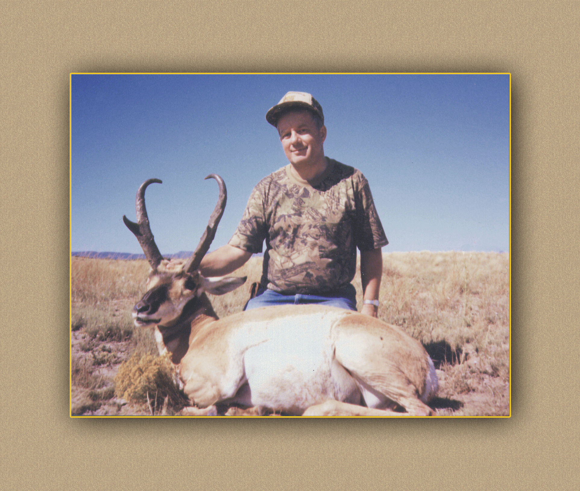 arizona hunting yellowhorn outiftters arizona bighorn sheep guiding outfitting deer elk antelope photography