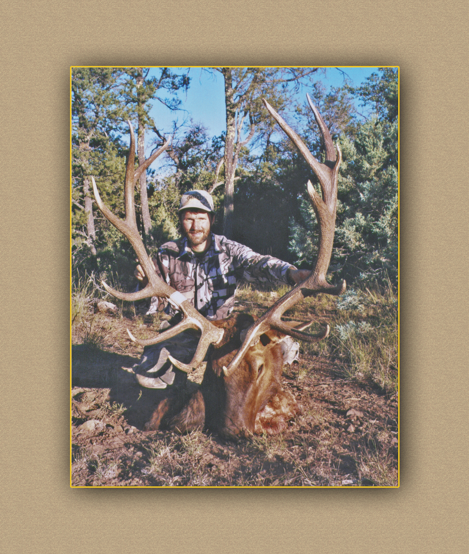 hunting yellowhorn guiding outfitting deer elk bighorn sheep antelope photography