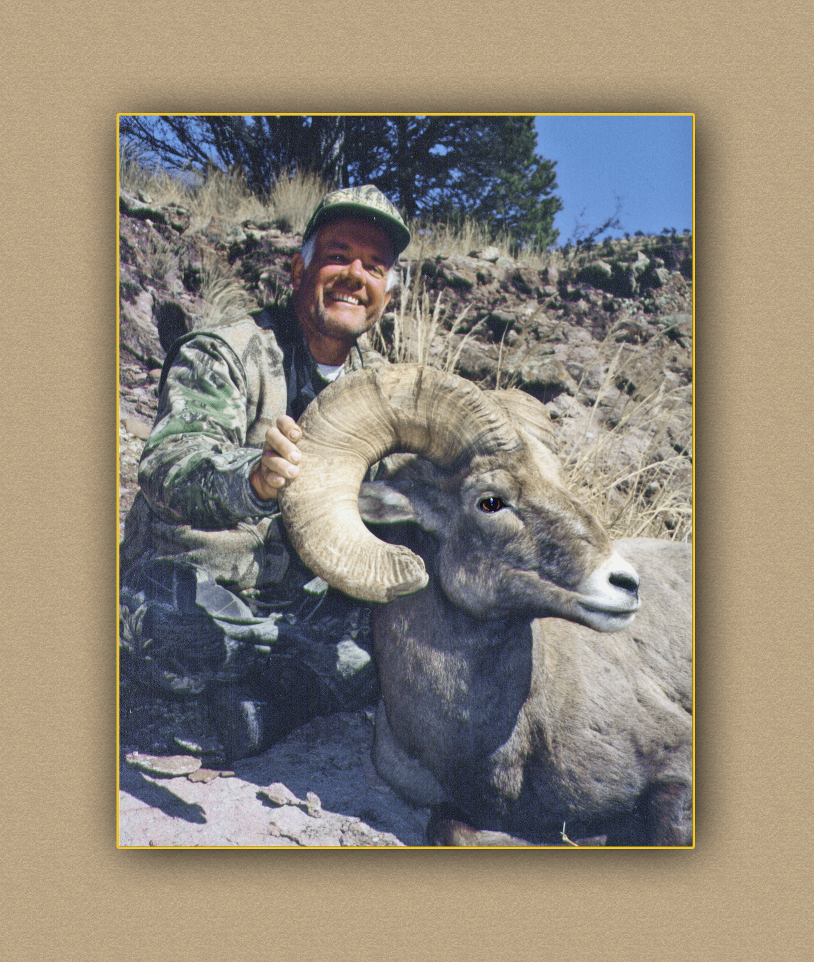 hunting yellowhorn guiding outfitting deer elk bighorn sheep antelope