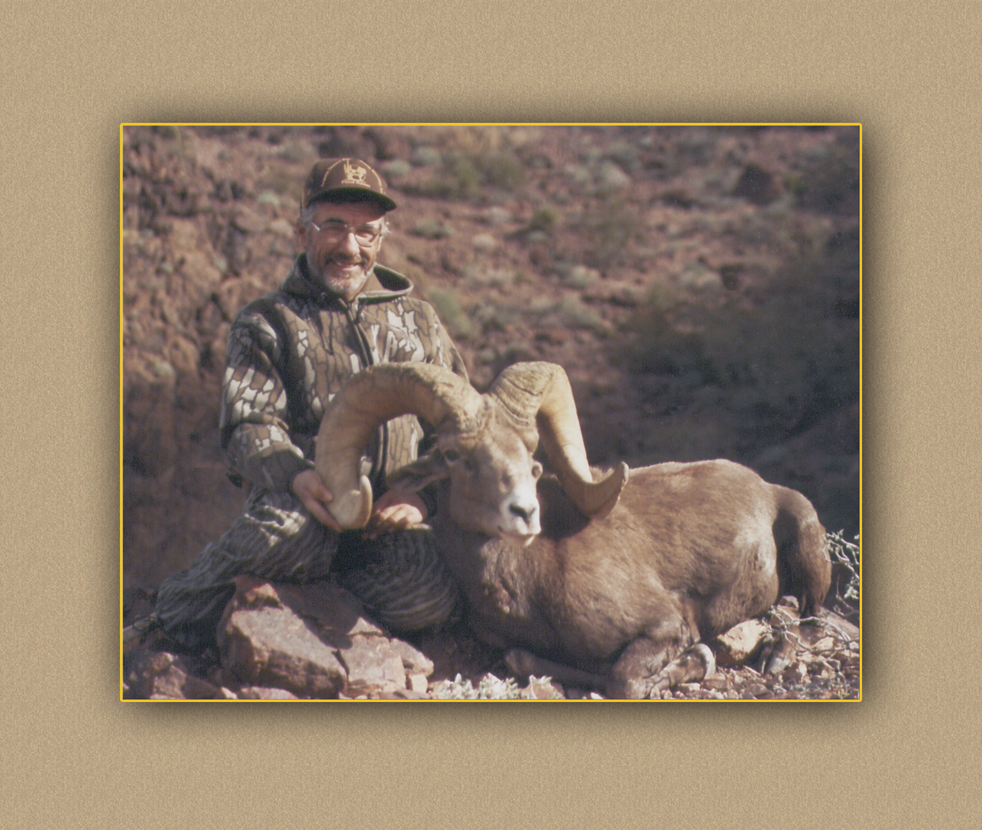 arizona hunting yellowhorn arizona bighorn sheep guiding outfitting deer elk antelope photography