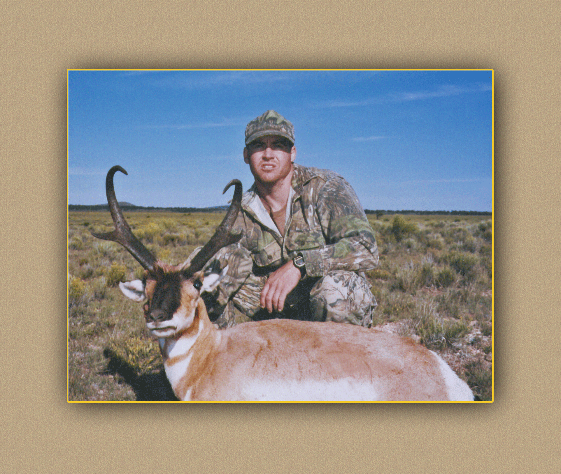 hunting yellowhorn bighorn sheep guiding guide outftting deer elk antelope photography